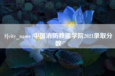 延安中国消防救援学院2021录取分数