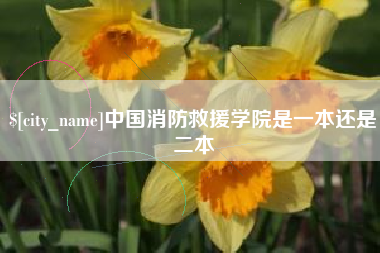 延安中国消防救援学院是一本还是二本