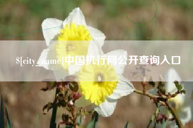 延安中国执行网公开查询入口