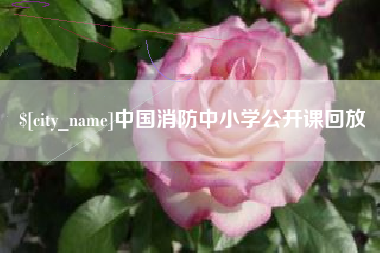 延安中国消防中小学公开课回放