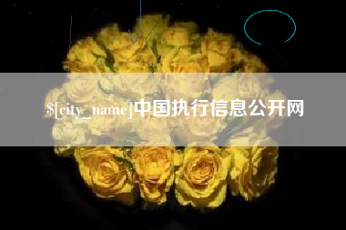 延安中国执行信息公开网