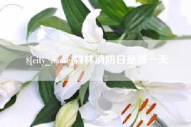 延安森林消防日是哪一天