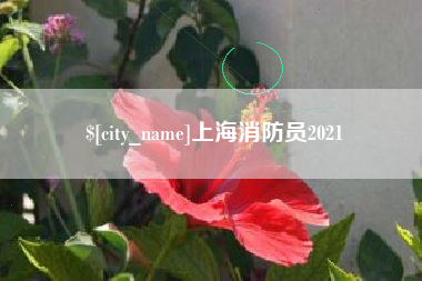 延安上海消防员2021