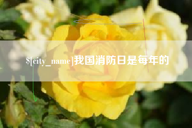 延安我国消防日是每年的