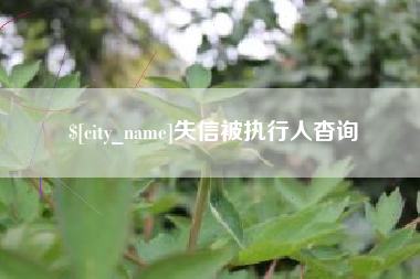 延安失信被执行人杳询