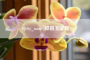 延安邱县王子磊