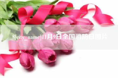 延安11月9日全国消防日图片