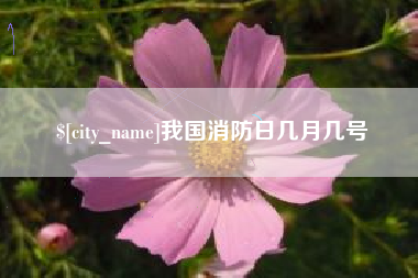 延安我国消防日几月几号