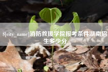延安消防救援学院报考条件湖南招生多少分