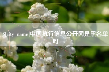 延安中国执行信息公开网是黑名单吗