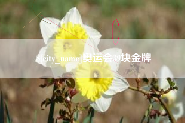 延安奥运会39块金牌