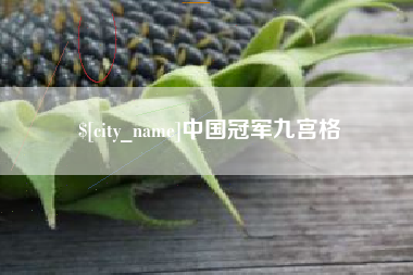 延安中国冠军九宫格