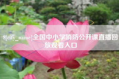 延安全国中小学消防公开课直播回放观看入口