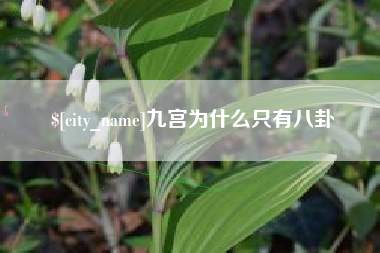 延安九宫为什么只有八卦