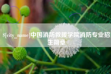延安中国消防救援学院消防专业招生简章