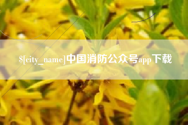 延安中国消防公众号app下载