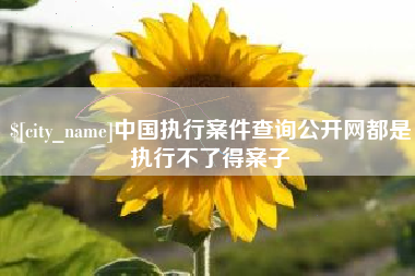 延安中国执行案件查询公开网都是执行不了得案子