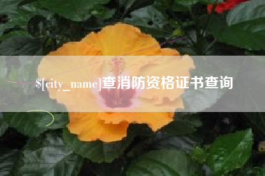 延安查消防资格证书查询