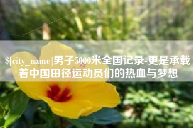 延安男子5000米全国记录-更是承载着中国田径运动员们的热血与梦想