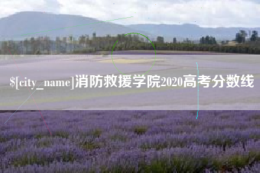延安消防救援学院2020高考分数线