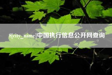 延安中国执行信息公开网查询