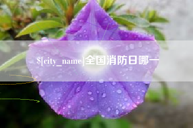 延安全国消防日哪一