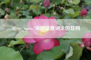 延安消防证查询全国联网