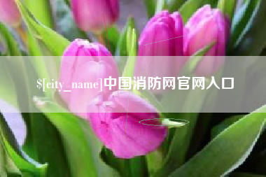延安中国消防网官网入口