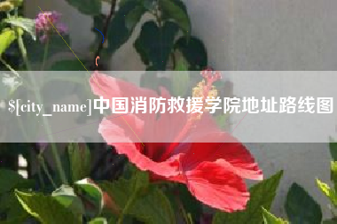延安中国消防救援学院地址路线图