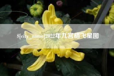延安2022年九宫格飞星图