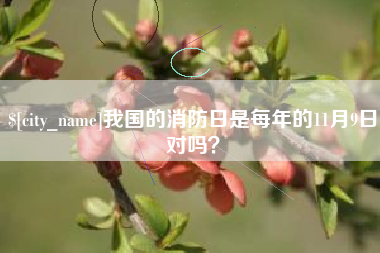 延安我国的消防日是每年的11月9日对吗？