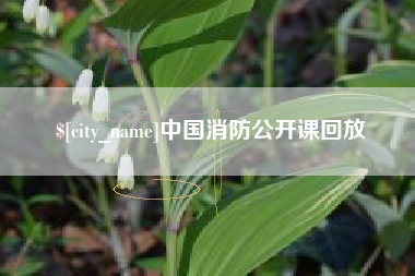 延安中国消防公开课回放