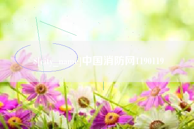 延安中国消防网1190119