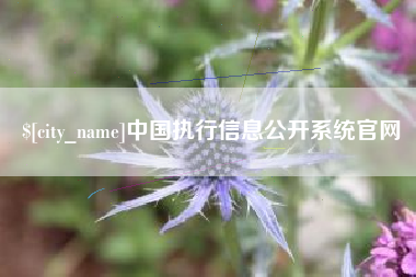 延安中国执行信息公开系统官网