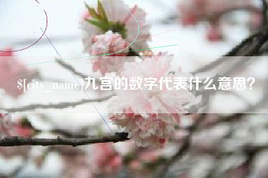 延安九宫的数字代表什么意思？