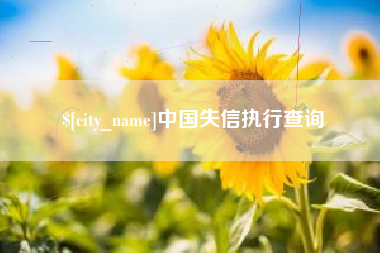 延安中国失信执行查询