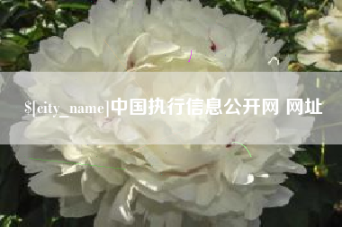 延安中国执行信息公开网 网址