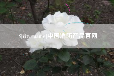 延安中国消防产品官网