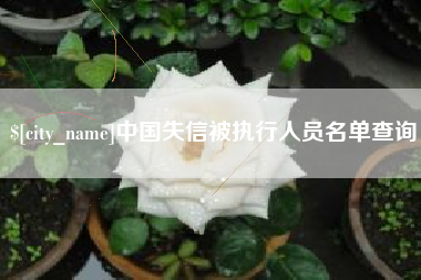 延安中国失信被执行人员名单查询