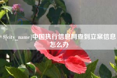 延安中国执行信息网查到立案信息怎么办