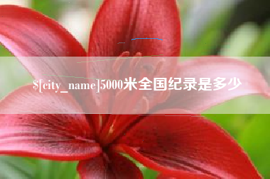 延安5000米全国纪录是多少