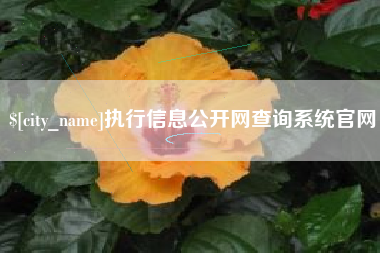 延安执行信息公开网查询系统官网