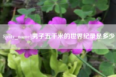 延安男子五千米的世界纪录是多少