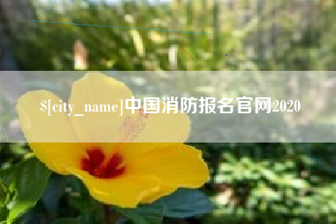 延安中国消防报名官网2020