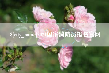 延安2021国家消防员报名官网