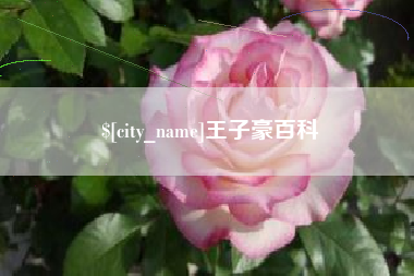 延安王子豪百科