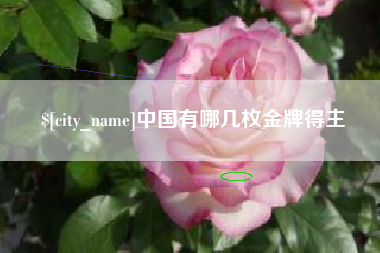 延安中国有哪几枚金牌得主