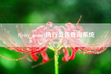 延安执行公告查询系统