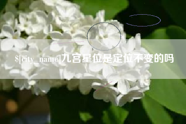 延安九宫星位是定位不变的吗