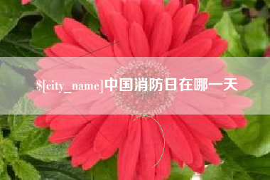 延安中国消防日在哪一天